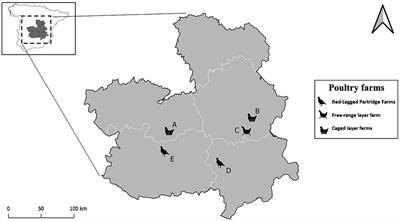 Seasonal changes in bird communities on poultry farms and house sparrow—wild bird contacts revealed by camera trapping